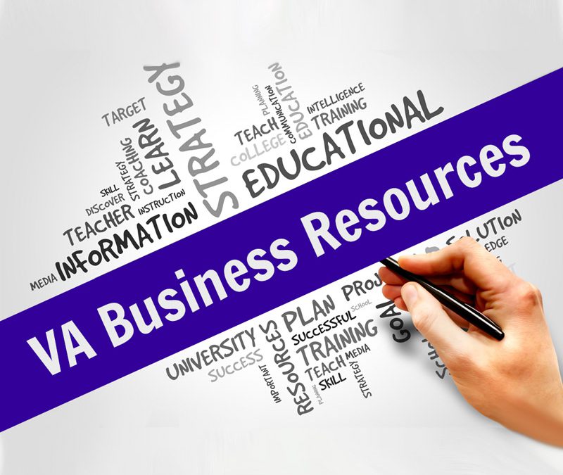 VAPS Internship & VA Agents Business & Technology Skills Development (BTSD) Training